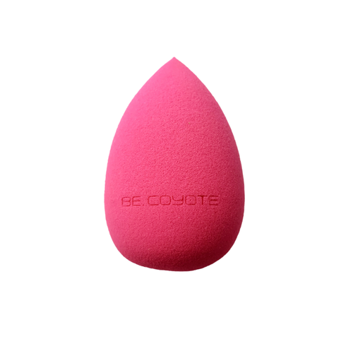 Beauty Sponge image 0